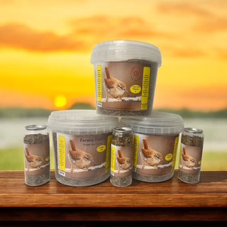 Wild Bird Super Dried Mealworms 5 litre Tub