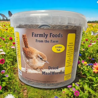Wild Bird Super Dried Mealworms 5 litre Tub