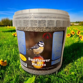 Wild Bird Seed  Sunflower Hearts -5 Litre tub