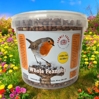 Wild Bird Whole Peanuts In A 5 Litre Tub Includes FREE Bird Seed In A Can